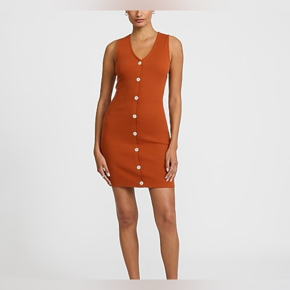 Express Sleeveless Button-Down Dress in Rust - Picture 3 of 7